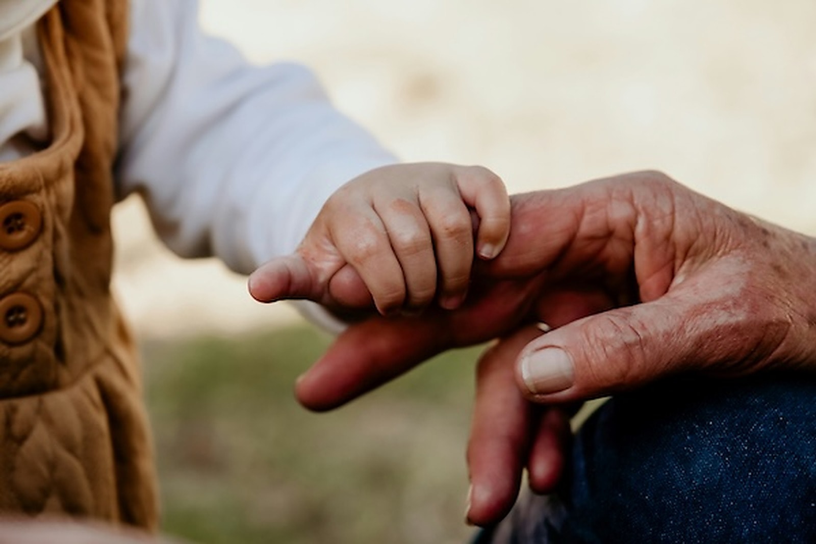 A child's hand holding a grandparent's hand, representing connection